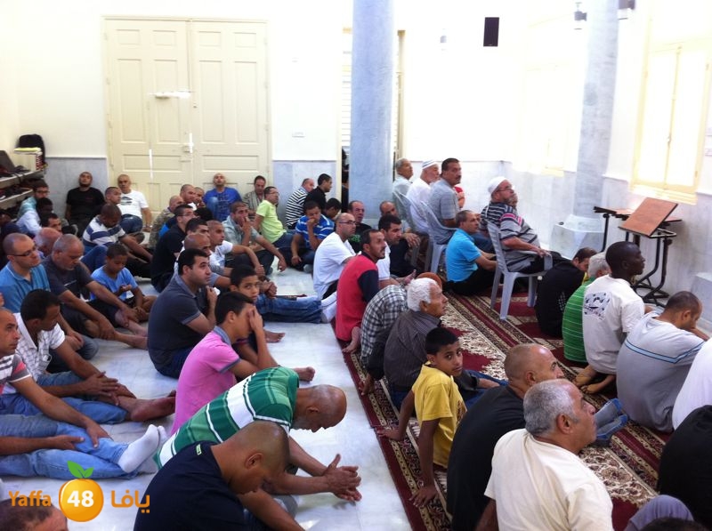 suliman satel nozha 621 (7).jpg